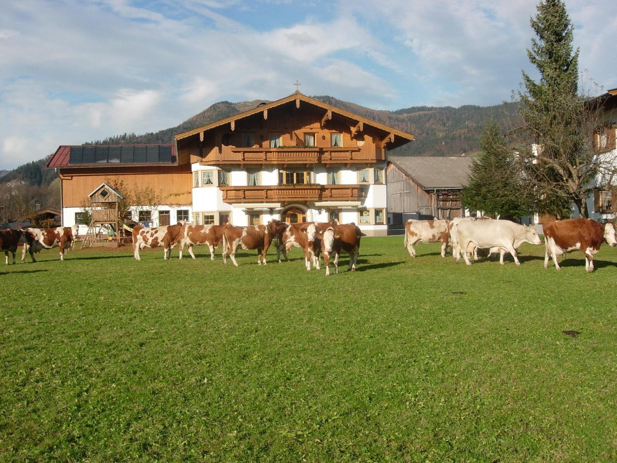 Hüttschmiedhof Bauernhof