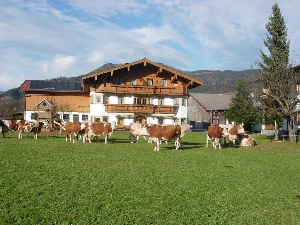 Bauernhof Hüttschmiedhof